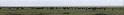 The Great Migration